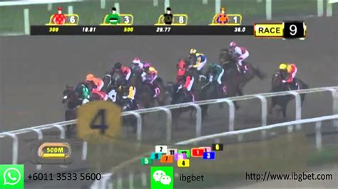 singapore horse result|Race Results .